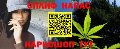спиды Будённовск
