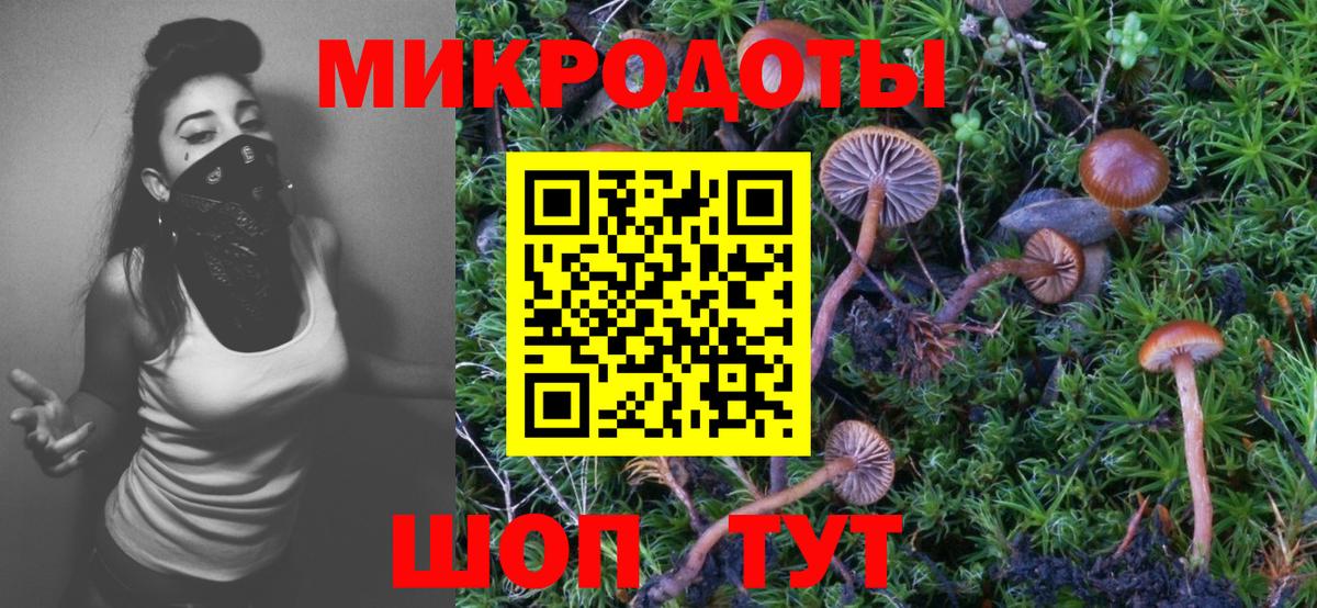 Галлюциногенные грибы ЛСД  Галлюциногенные грибы мицелий  Саки  Вход с VPN 