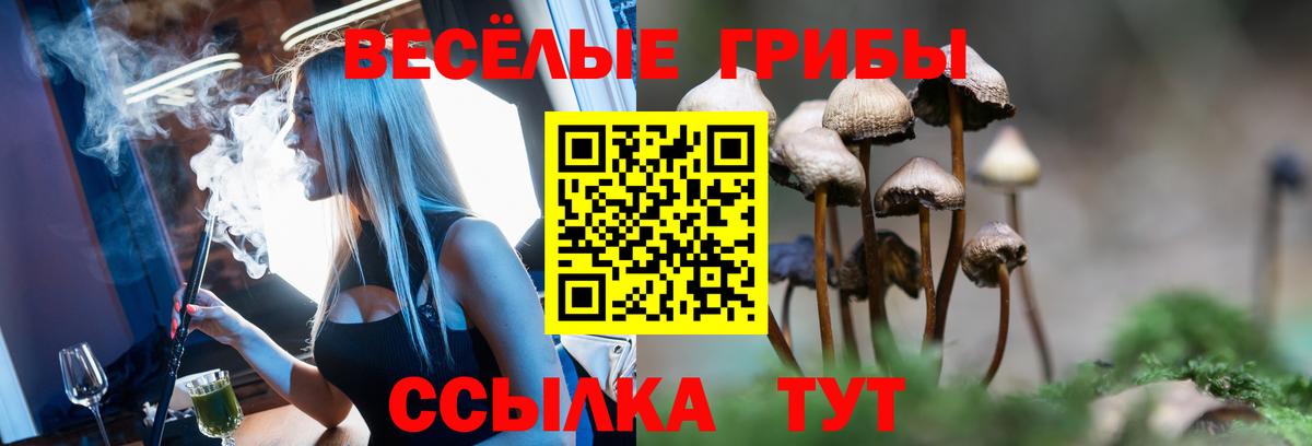 Галлюциногенные грибы ЛСД Саки